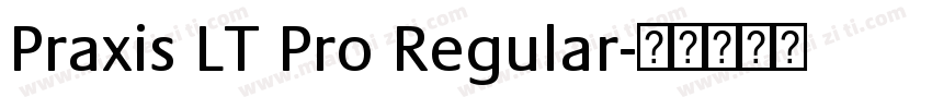 Praxis LT Pro Regular字体转换